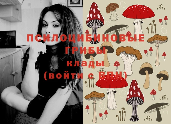 марки lsd Гусиноозёрск