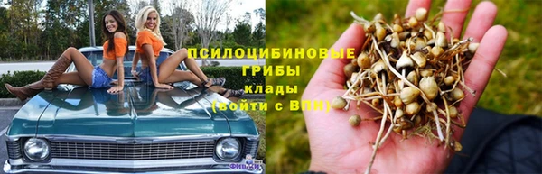 марки lsd Гусиноозёрск