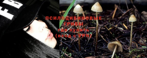 марки lsd Гусиноозёрск