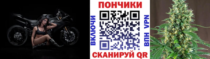 Каннабис семена  Купить где  Уяр 